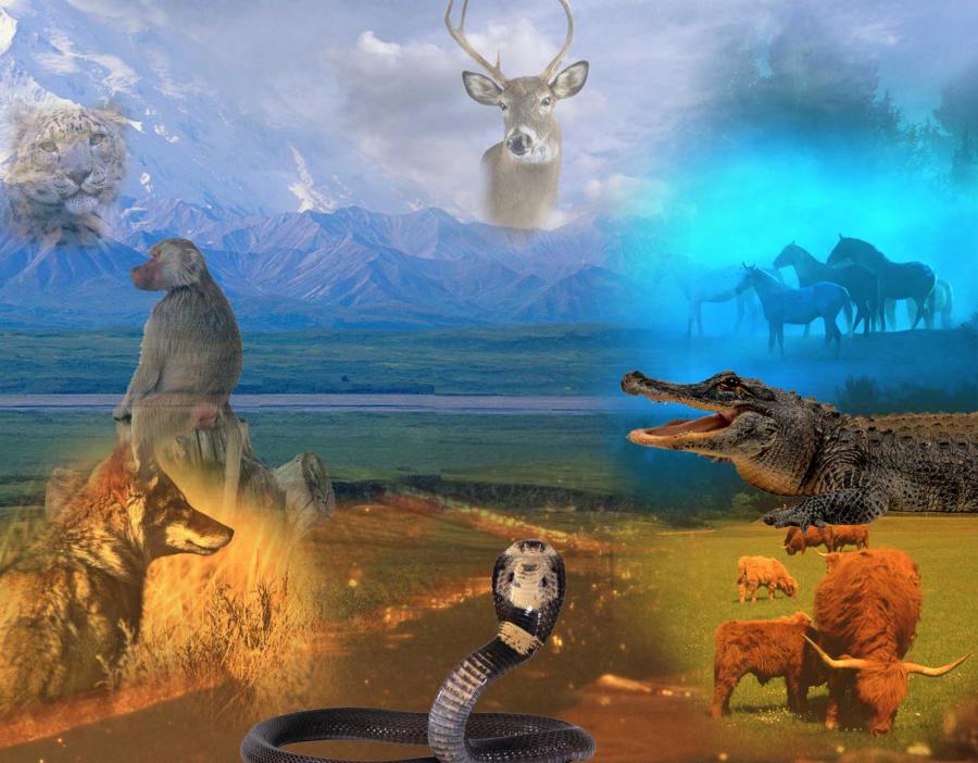 Мы дети богов. Мифы пеласгов - _21.jpg