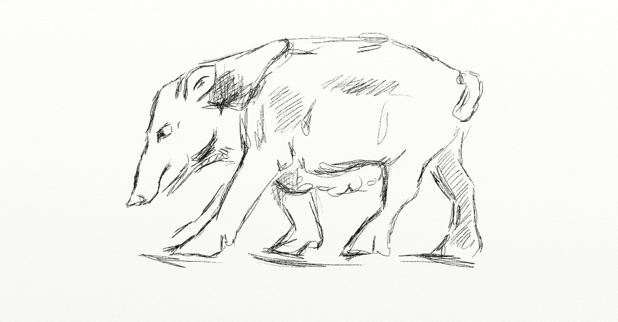 Мы дети богов. Мифы пеласгов - _30.jpg