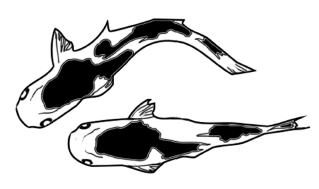 Небо, под которым тебя нет - i_002.png