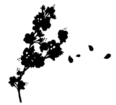 Небо, под которым тебя нет - i_003.png