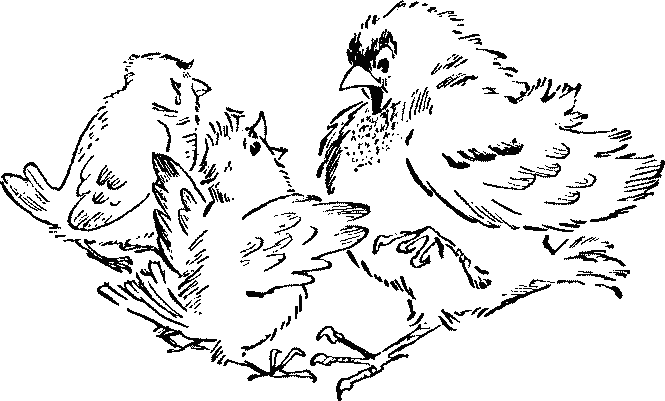 Баранкин, будь человеком - pict_009.png