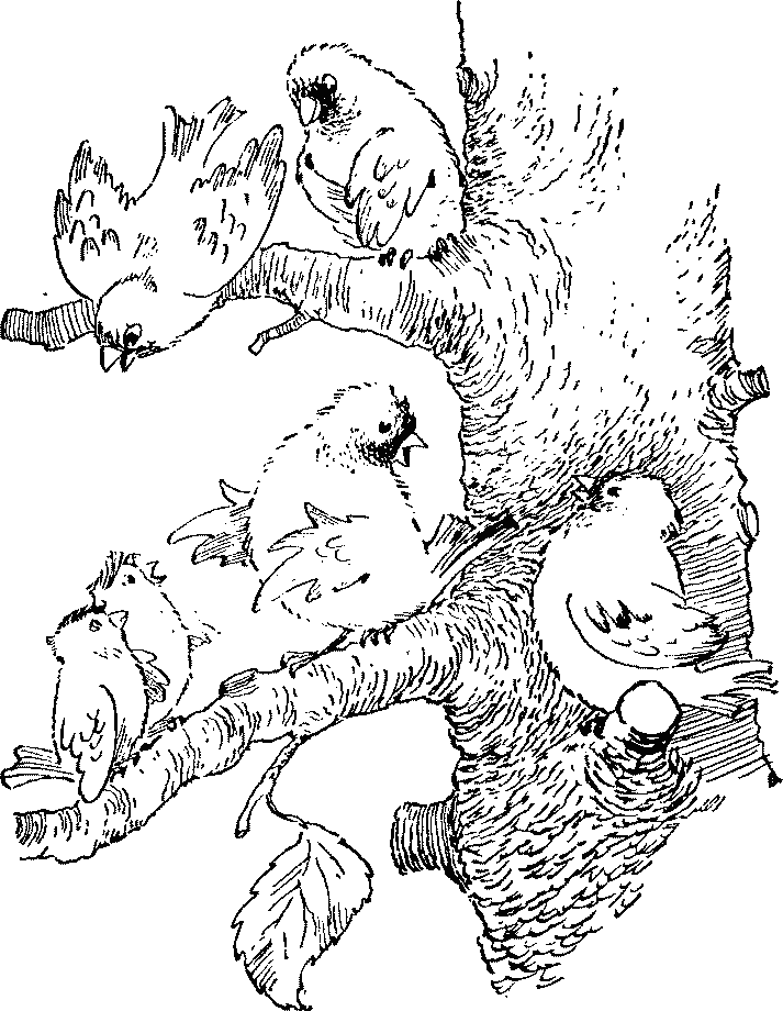 Баранкин, будь человеком - pict_012.png