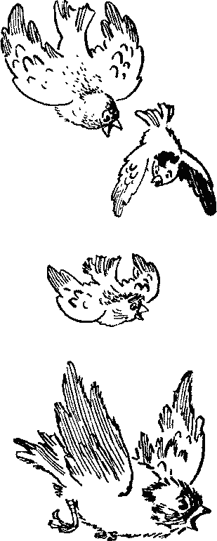 Баранкин, будь человеком - pict_013.png