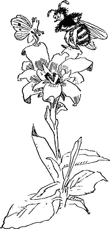 Баранкин, будь человеком - pict_017.png