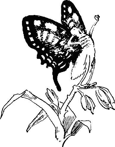 Баранкин, будь человеком - pict_019.png