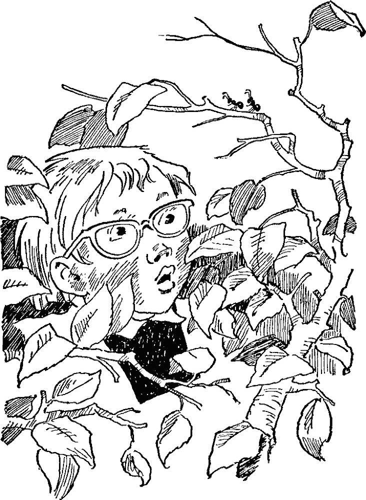 Баранкин, будь человеком - pict_021.png