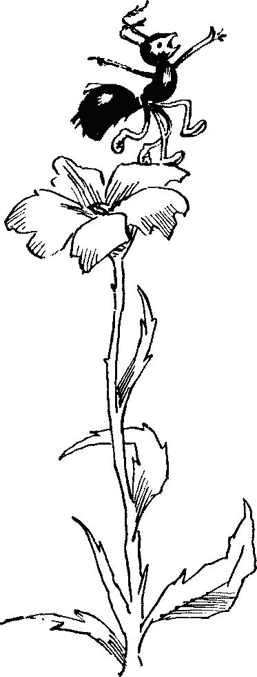 Баранкин, будь человеком - pict_025.png