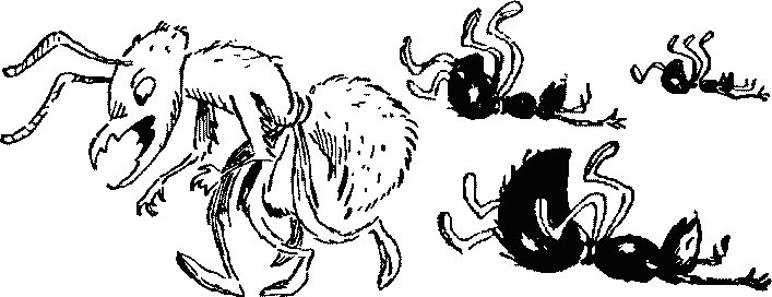 Баранкин, будь человеком - pict_026.png