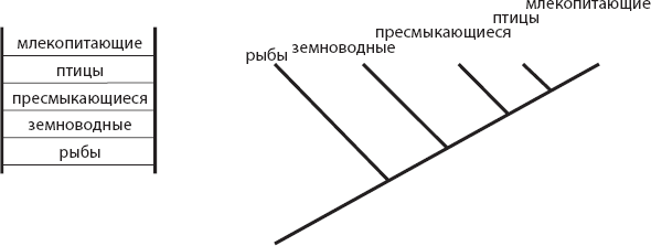 Мозг. Такой ли он особенный? - _1.png