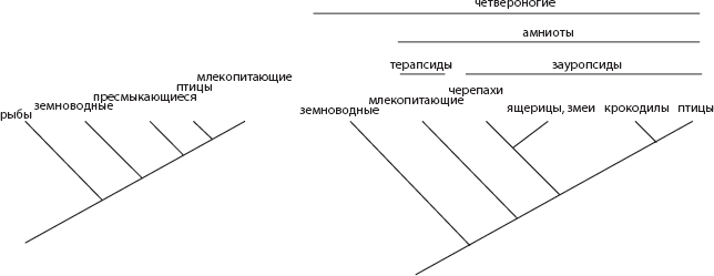 Мозг. Такой ли он особенный? - _4.png