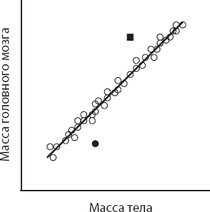 Мозг. Такой ли он особенный? - _8.png