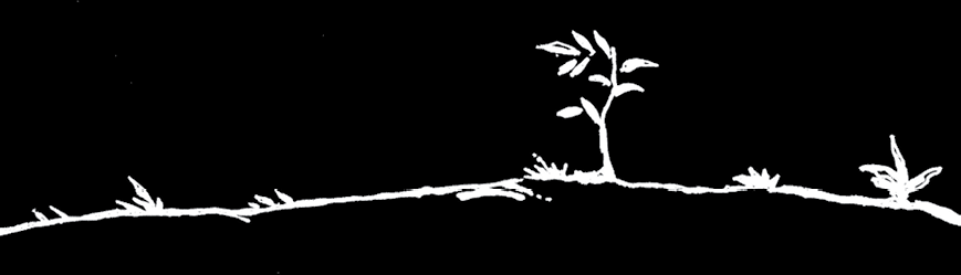 Лунный Принц - i_003.png