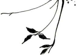 Лунный Принц - i_004.png