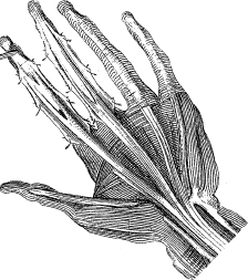 Модицина. Encyclopedia Pathologica - _15.png