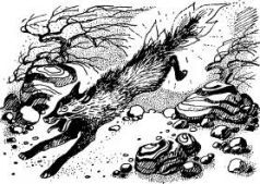 Говорящий сверток (с иллюстрациями) - pic22.jpg