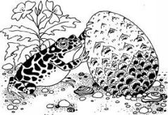 Говорящий сверток (с иллюстрациями) - pic5.jpg