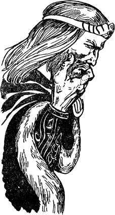 Необычайные приключения Кукши из Домовичей. Сигурд победитель дракона. Повести древних лет - i_205.jpg