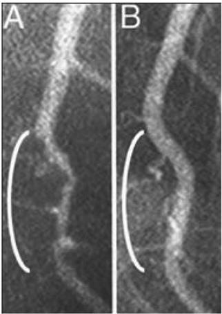 Компас питания. Важные выводы о питании, касающиеся каждого из нас - i_004.jpg
