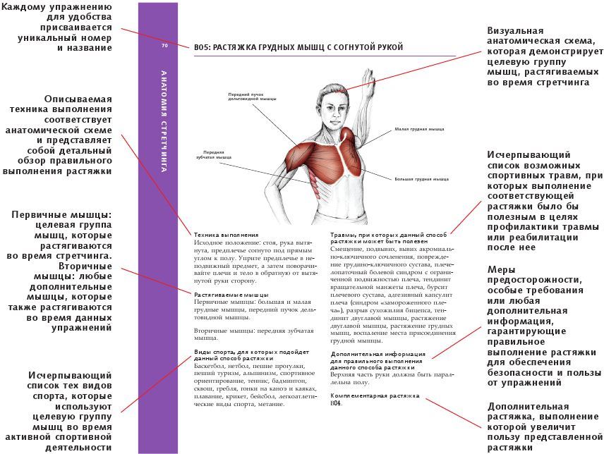 Анатомия стретчинга - i_001.jpg
