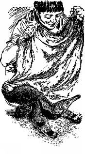 Мясной рулет. ВСТРЕЧИ С ЖИВОТНЫМИ - pic_11.jpg