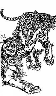 Мясной рулет. ВСТРЕЧИ С ЖИВОТНЫМИ - pic_3.jpg