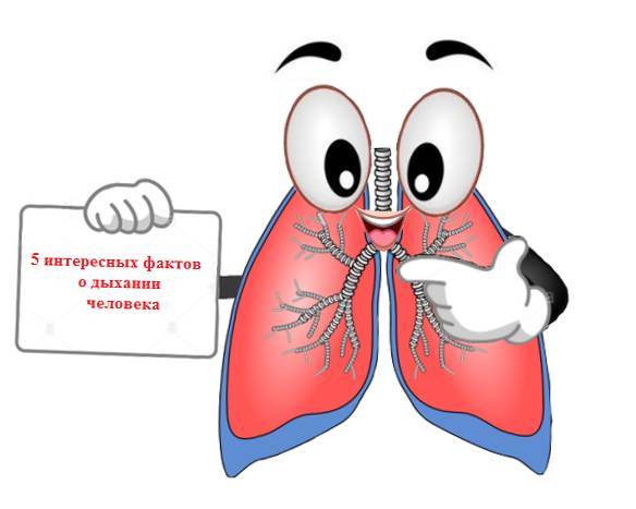 +20 лет жизни – дыши правильно! - _2.jpg