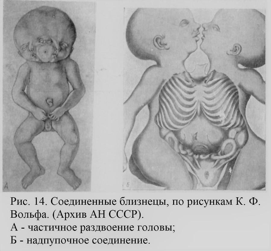 Близнецы - _016_1.jpg