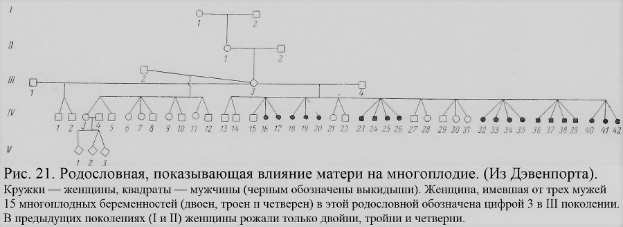 Близнецы - _022_1.jpg