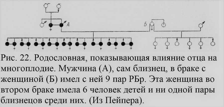 Близнецы - _023_1.jpg