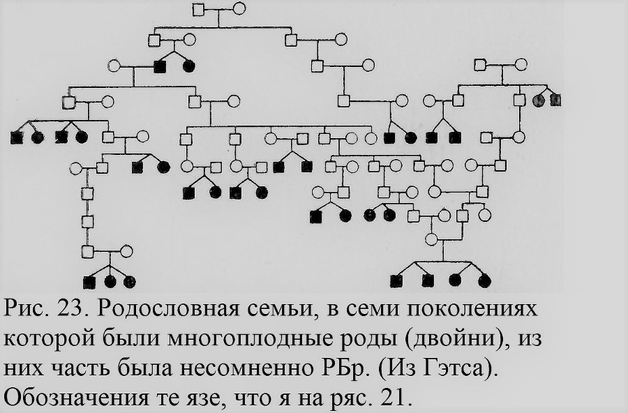 Близнецы - _023_2.jpg