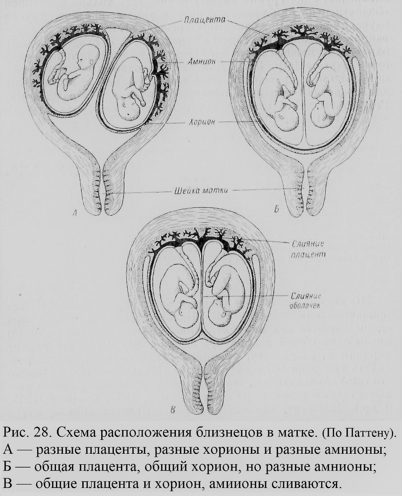 Близнецы - _028_1.jpg