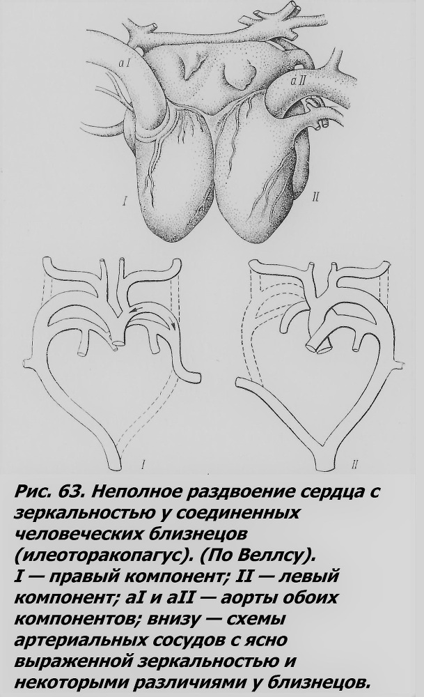 Близнецы - _055_1.jpg