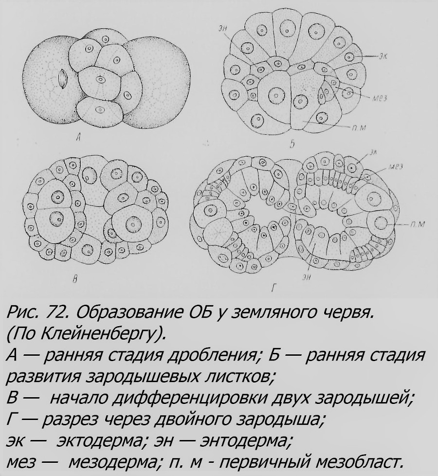 Близнецы - _062_2.jpg