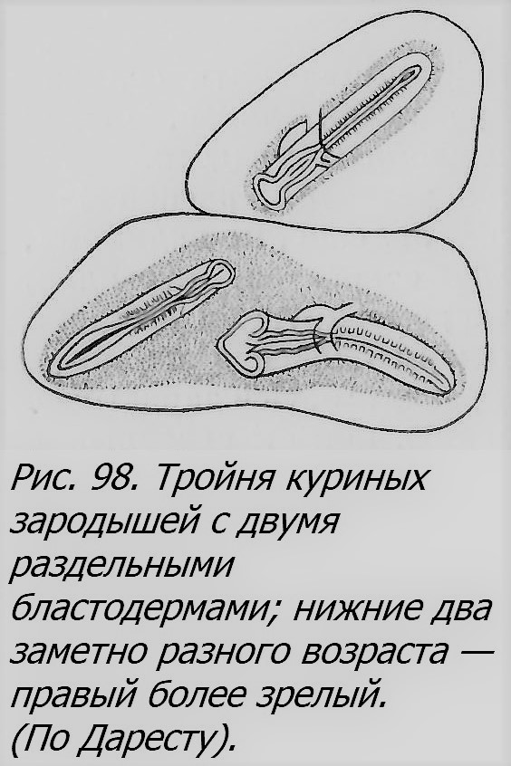 Близнецы - _075_2.jpg