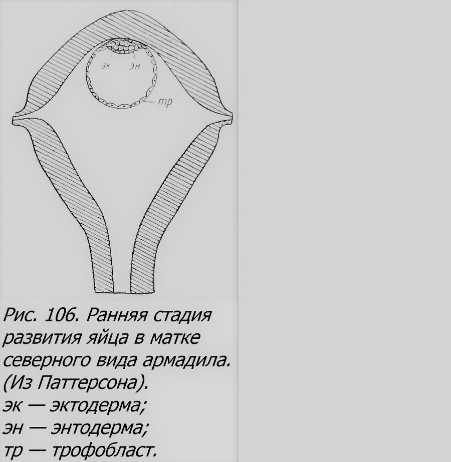 Близнецы - _078_1.jpg