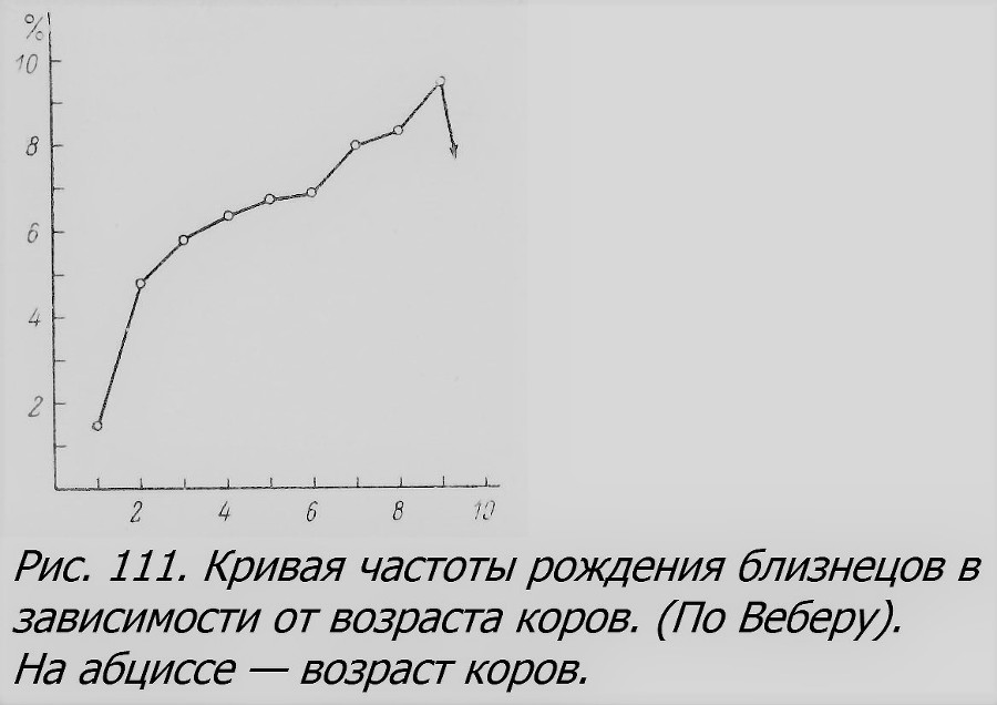 Близнецы - _081_1.jpg