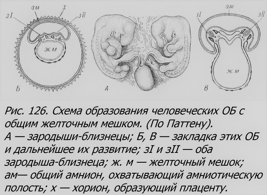 Близнецы - _088_2.jpg