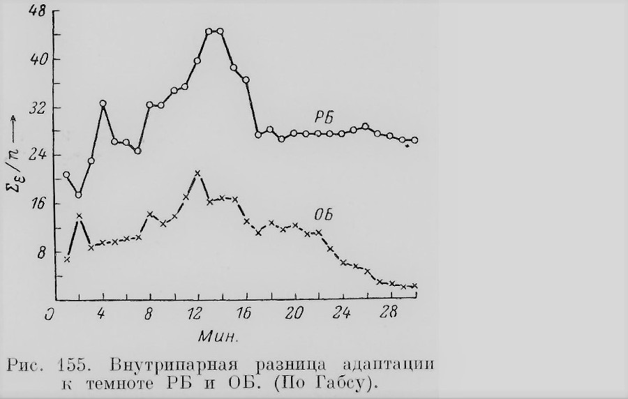 Близнецы - _119_1.jpg