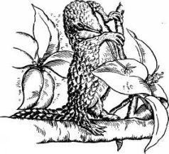 Поймайте мне колобуса (с иллюстрациями) - pic18.jpg