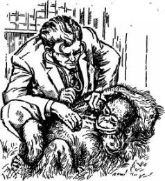 Поймайте мне колобуса (с иллюстрациями) - pic23.jpg