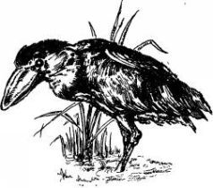 Поймайте мне колобуса (с иллюстрациями) - pic26.jpg