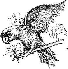 Поймайте мне колобуса (с иллюстрациями) - pic29.jpg