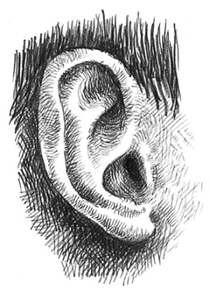 Кроха - i_034.jpg