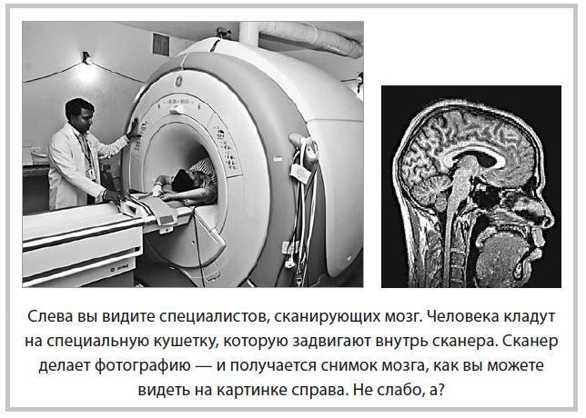 Уроки на отлично! Как научить ребенка заниматься самостоятельно и с удовольствием - i_010.jpg