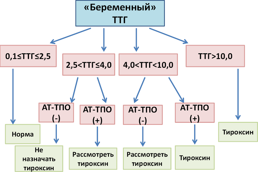 ГОРМОНичное тело - i_001.png