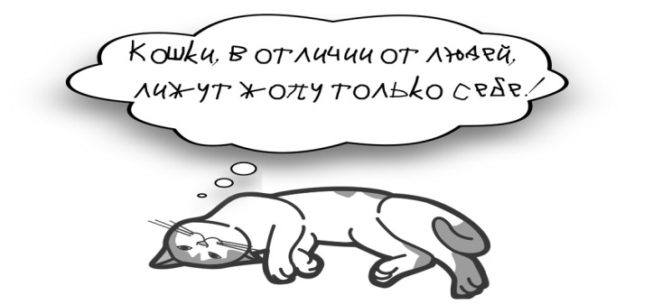 Как это, быть под мухой? Сборник. Серия «Байки кота Коврика» - _1.jpg