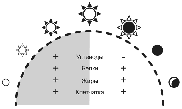 Здоровье без фанатизма: 36 часов в сутках - i_005.png