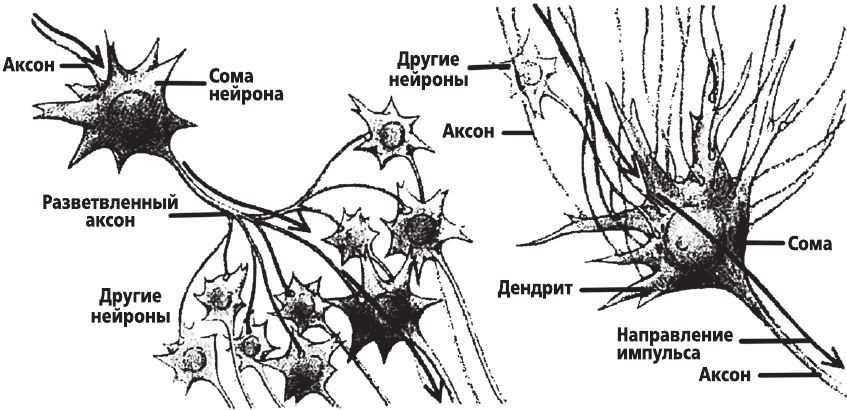 Фантомы мозга - i_001.jpg