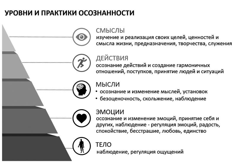 Осознанность. Ваш новый путь к счастью - i_003.png