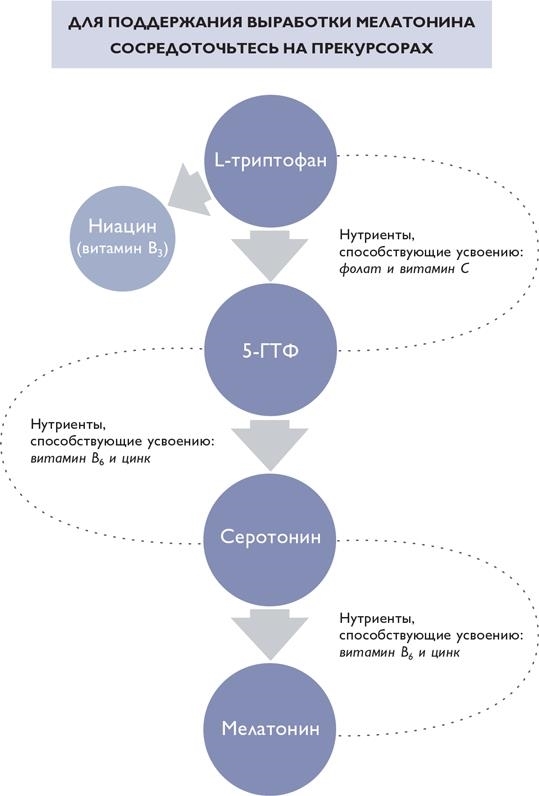 Биохакинг - i_028.jpg